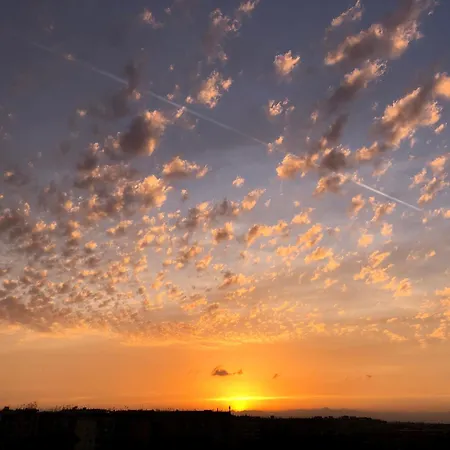 Apartment Yellow Sweet *