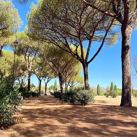 Yellow Sweet Apartment *